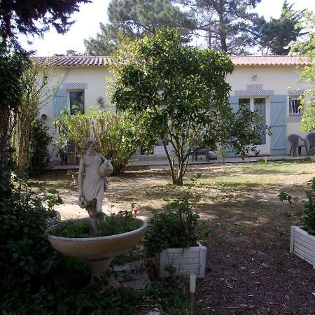 Mas Des Pins Bed & Breakfast Сен-Киприен Екстериор снимка