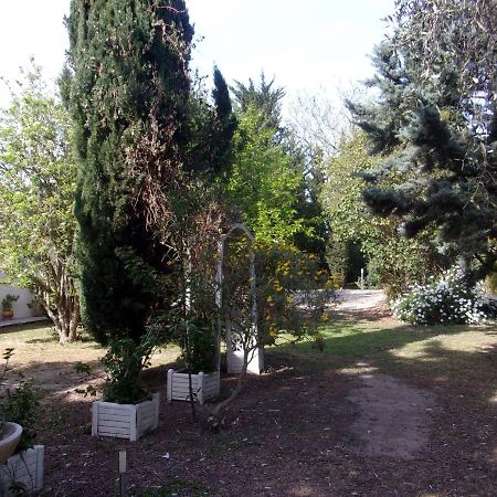 Mas Des Pins Bed & Breakfast Сен-Киприен Екстериор снимка