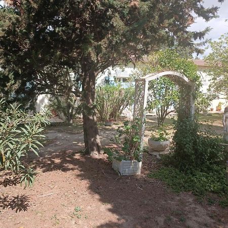 Mas Des Pins Bed & Breakfast Сен-Киприен Екстериор снимка