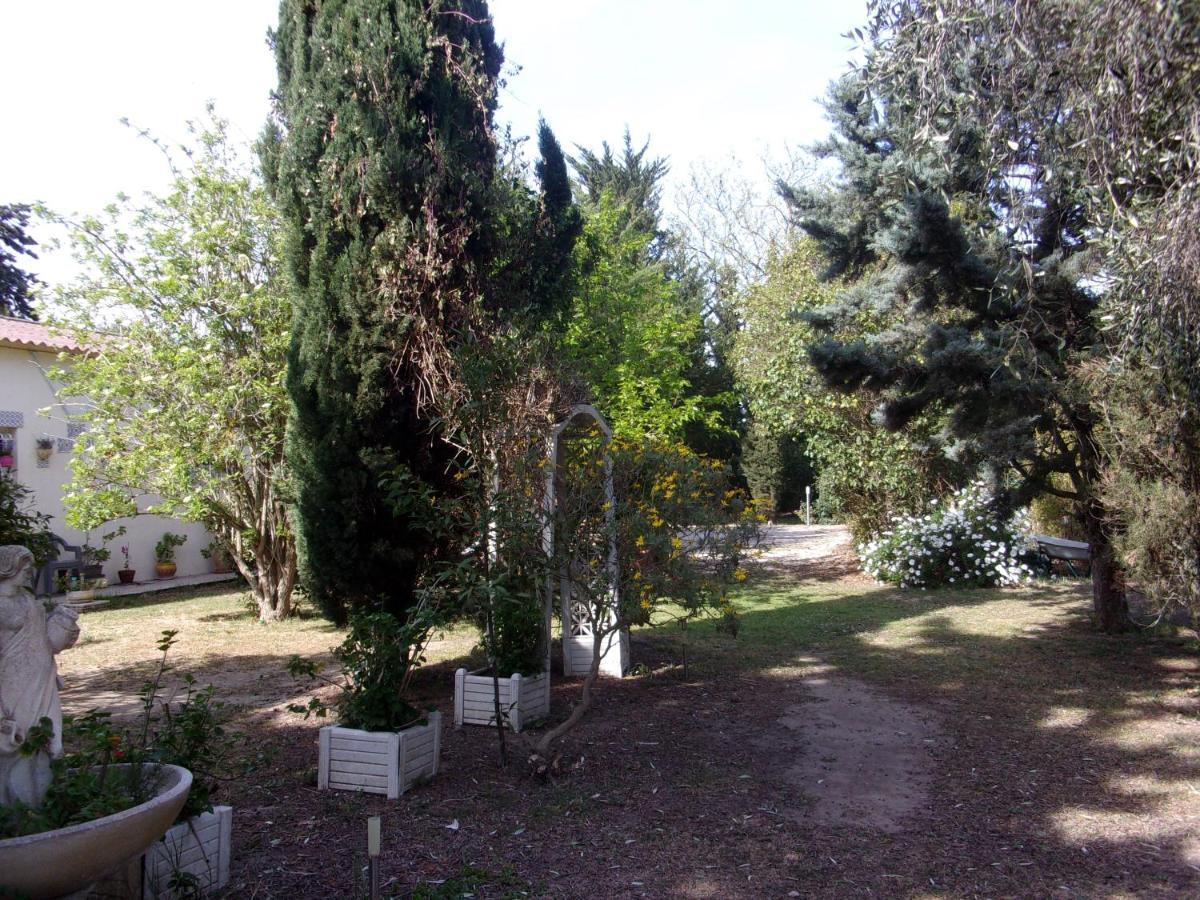 Mas Des Pins Bed & Breakfast Сен-Киприен Екстериор снимка