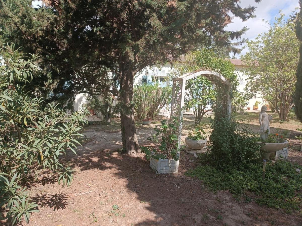 Mas Des Pins Bed & Breakfast Сен-Киприен Екстериор снимка
