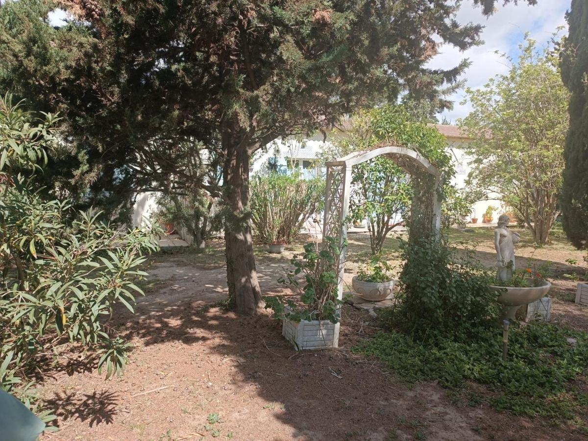 Mas Des Pins Bed & Breakfast Сен-Киприен Екстериор снимка